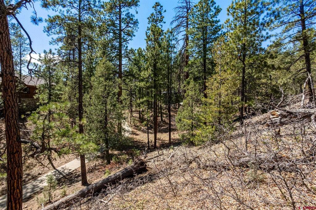 91 Ambush Canyon Durango CO 81301
