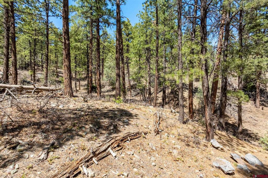 91 Ambush Canyon Durango CO 81301