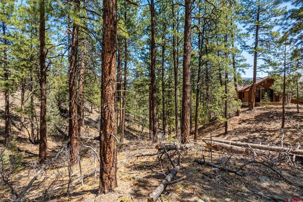 91 Ambush Canyon Durango CO 81301