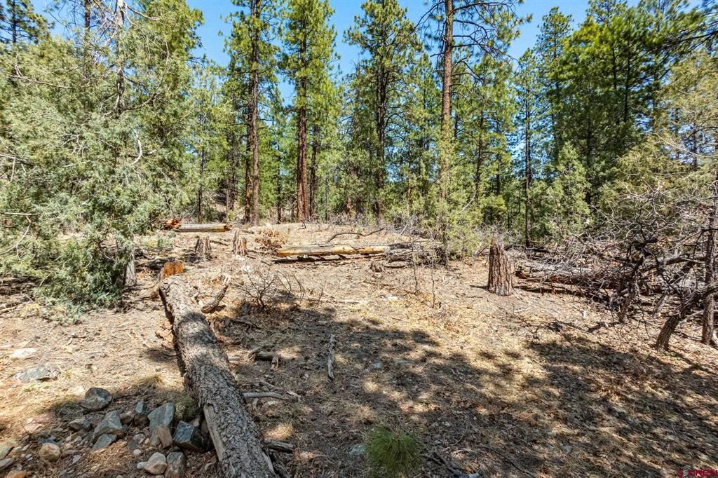 91 Ambush Canyon Durango CO 81301