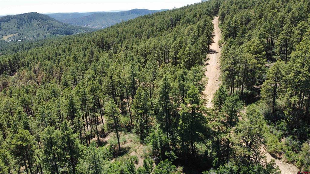 166 Jackalope Drive Bayfield CO 81122