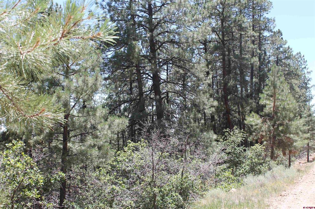 166 Jackalope Drive Bayfield CO 81122