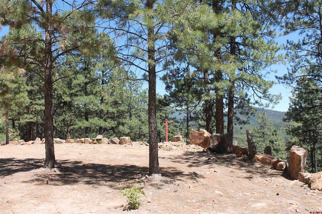 166 Jackalope Drive Bayfield CO 81122