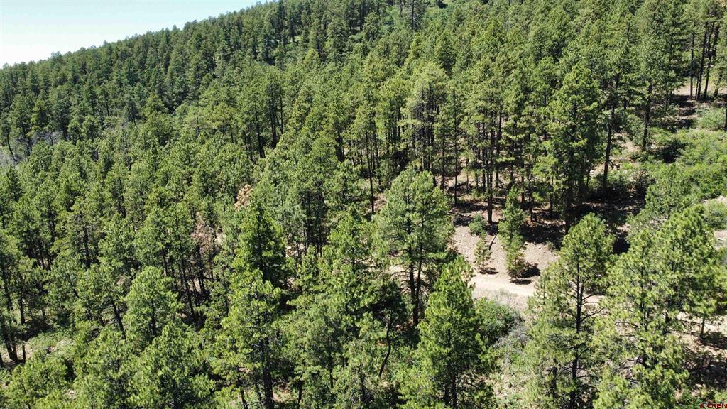 166 Jackalope Drive Bayfield CO 81122