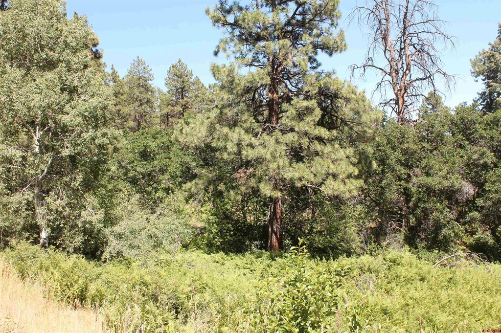 166 Jackalope Drive Bayfield CO 81122