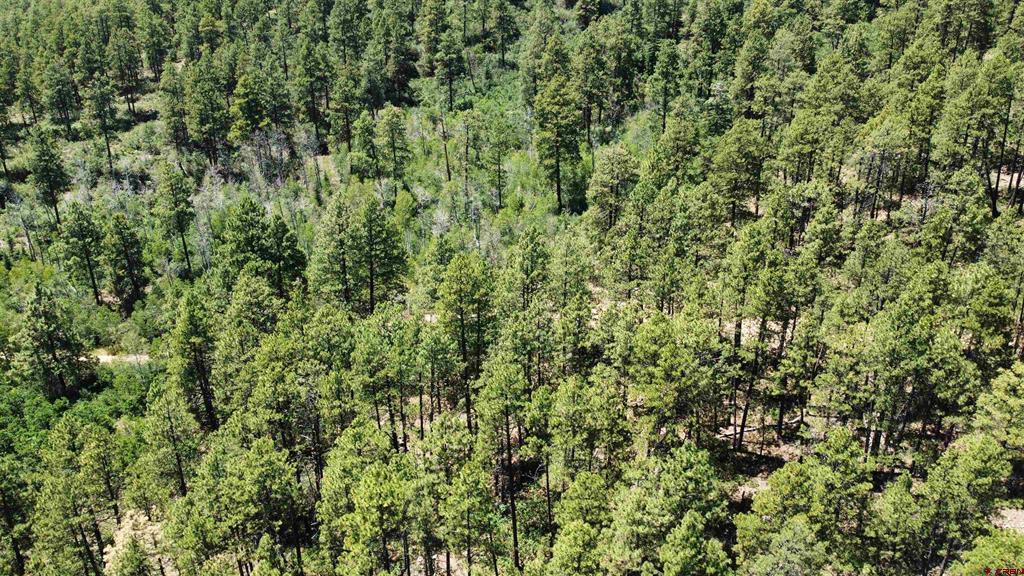 166 Jackalope Drive Bayfield CO 81122