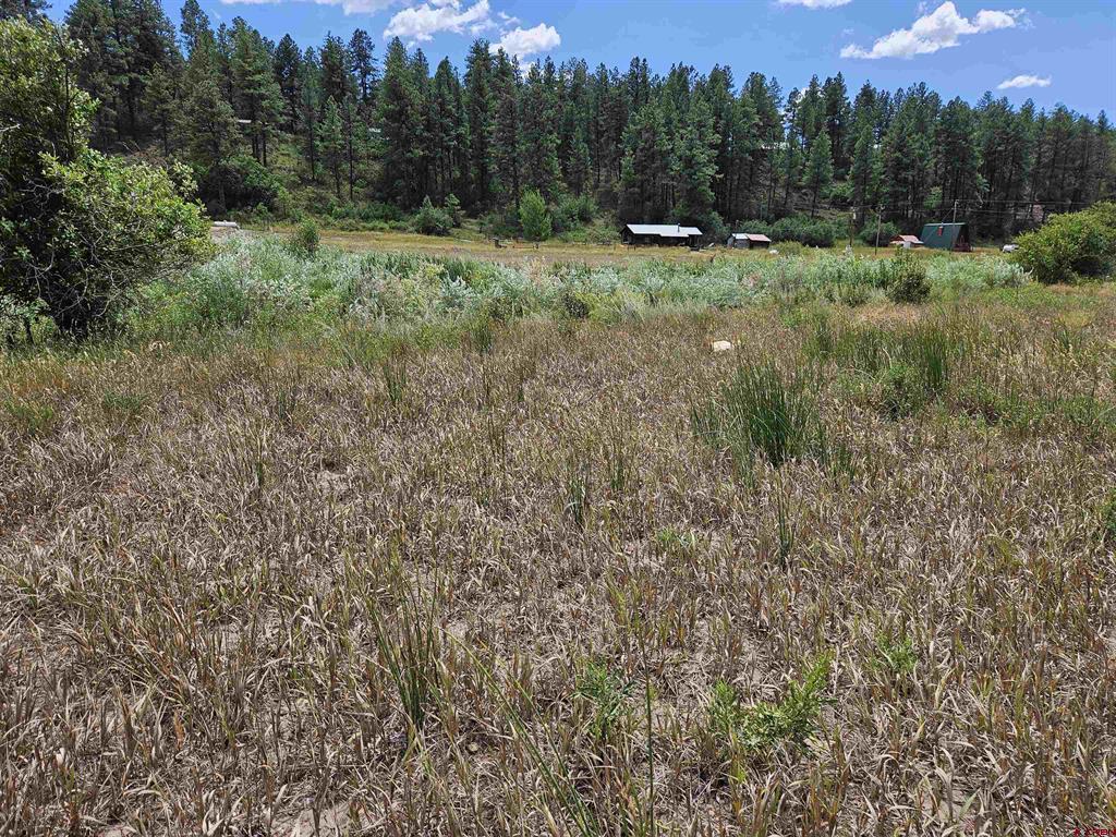 10578 & 10612 W U S Highway 160 Pagosa Springs CO 81147