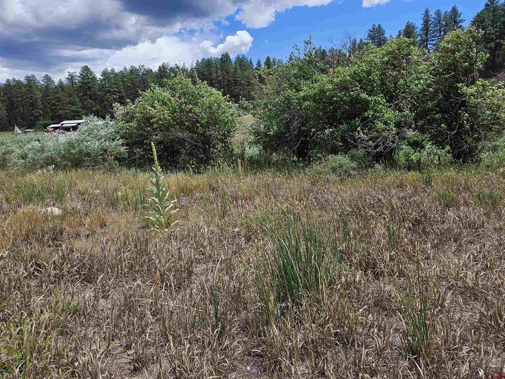 10578 & 10612 W U S Highway 160 Pagosa Springs CO 81147
