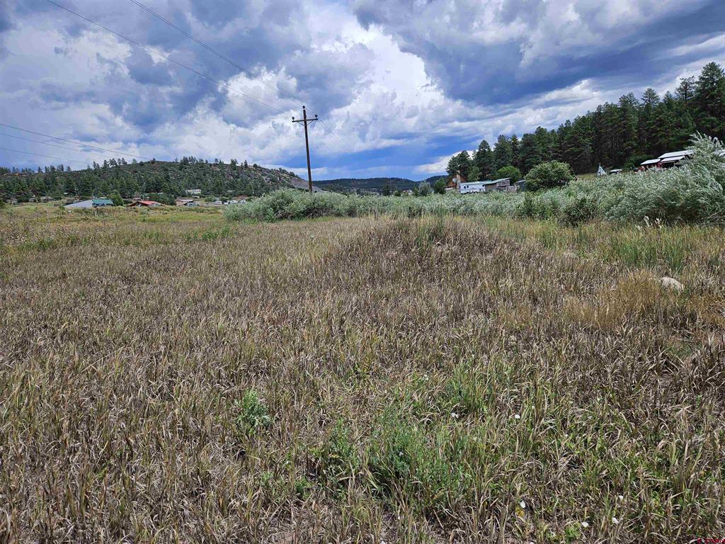 10578 & 10612 W U S Highway 160 Pagosa Springs CO 81147