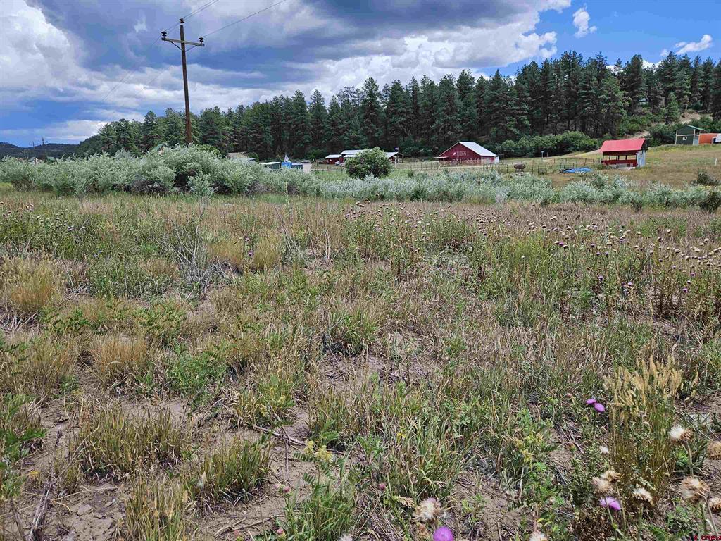 10578 & 10612 W U S Highway 160 Pagosa Springs CO 81147