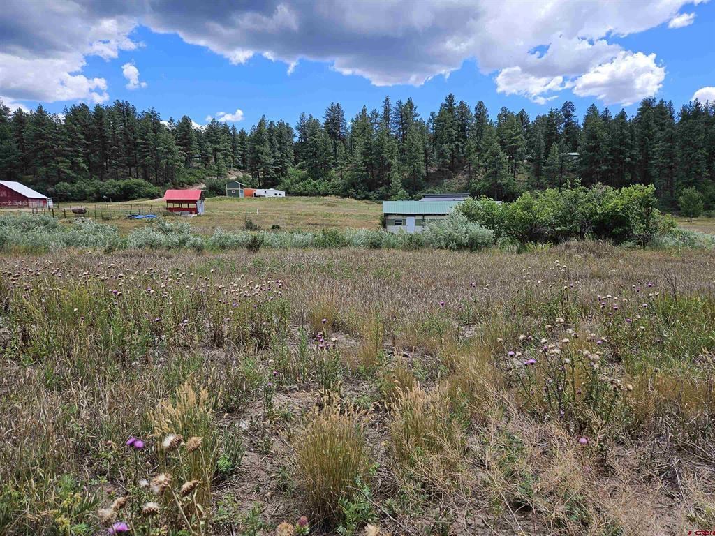 10578 & 10612 W U S Highway 160 Pagosa Springs CO 81147