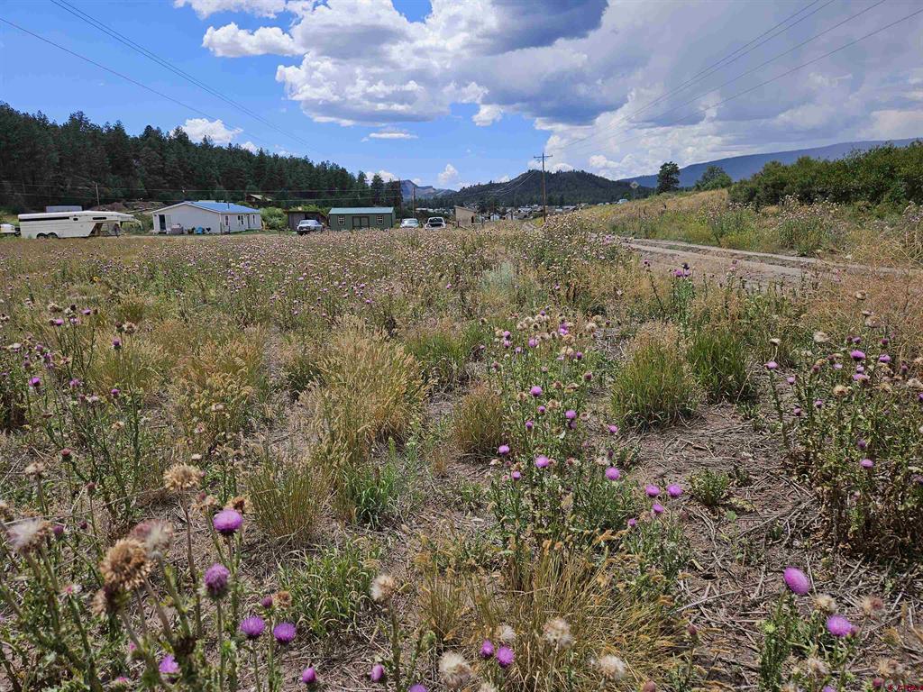 10578 & 10612 W U S Highway 160 Pagosa Springs CO 81147