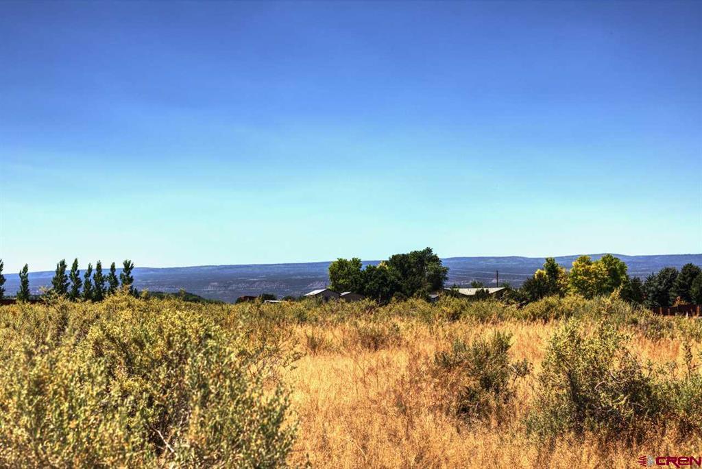 LOT:3 Idaho Road Montrose CO 81403