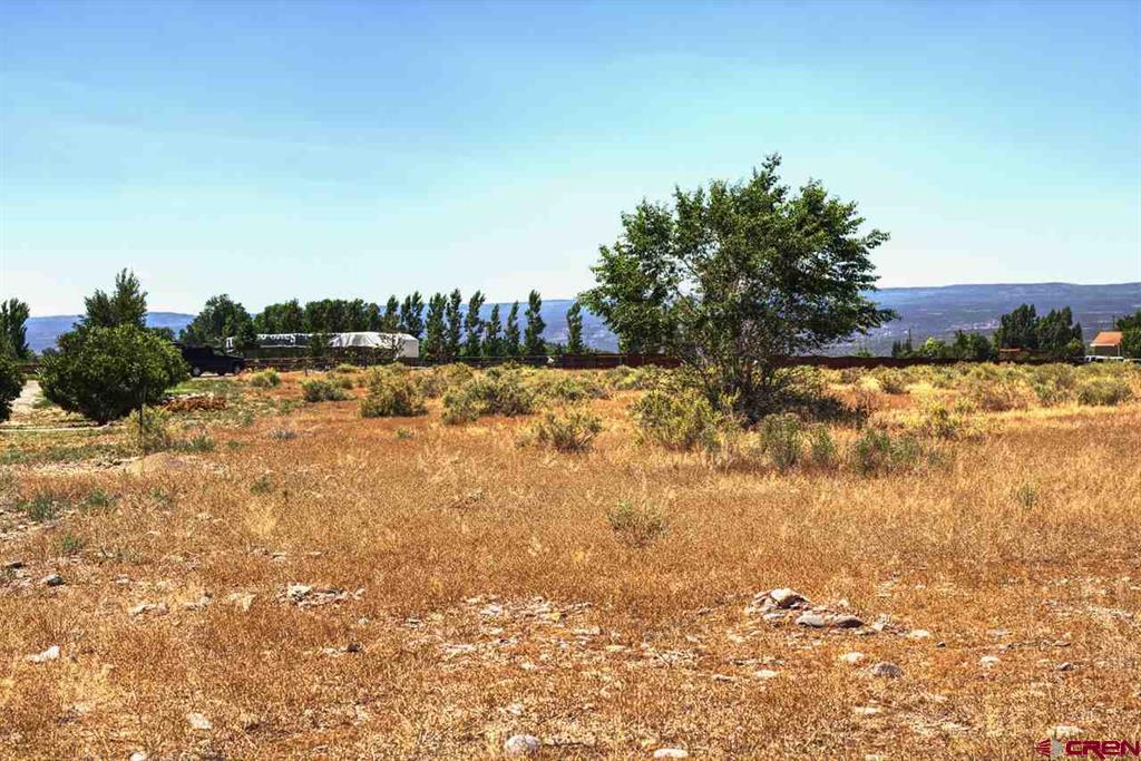 LOT:3 Idaho Road Montrose CO 81403