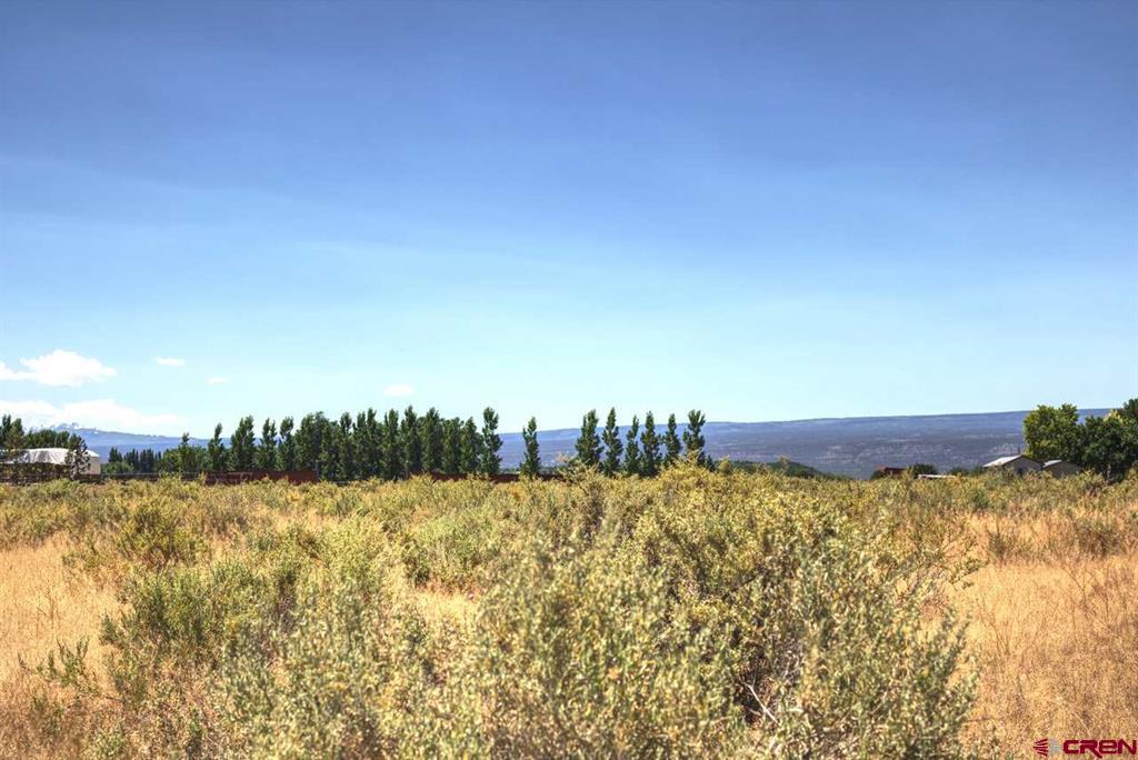 LOT:3 Idaho Road Montrose CO 81403