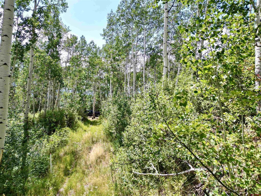 189 Taloga Road Gunnison CO 81230