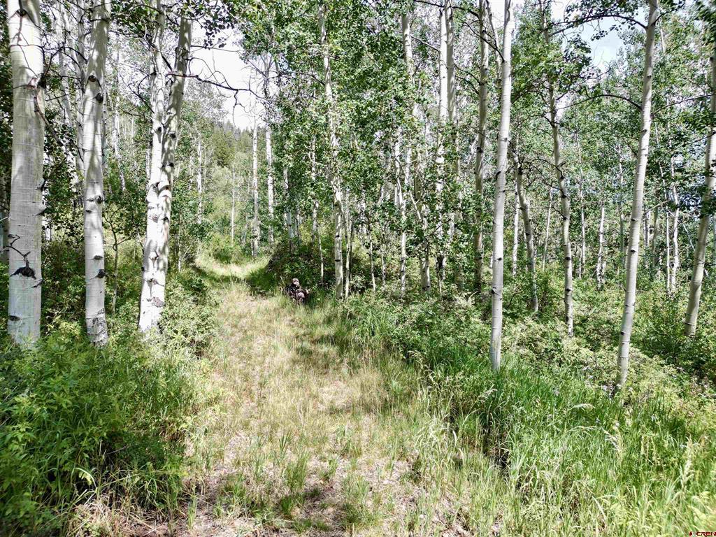 189 Taloga Road Gunnison CO 81230