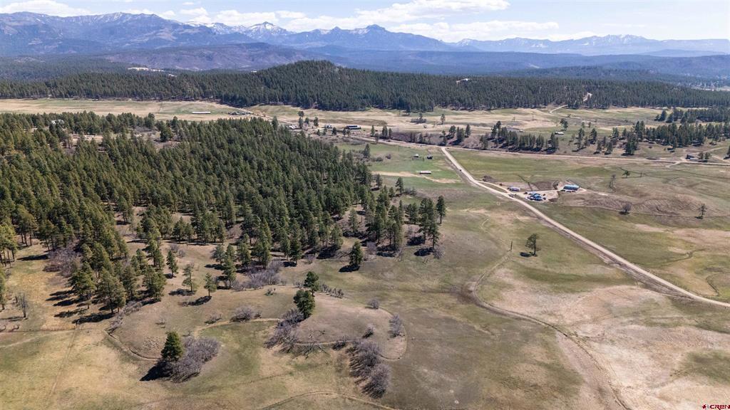2054 Snowball Pagosa Springs CO 81147