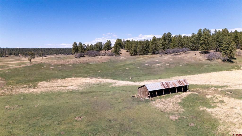 2054 Snowball Pagosa Springs CO 81147