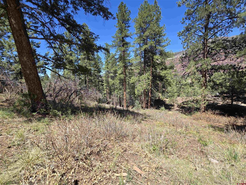 238 Pine Ridge Drive Ridgway CO 81432