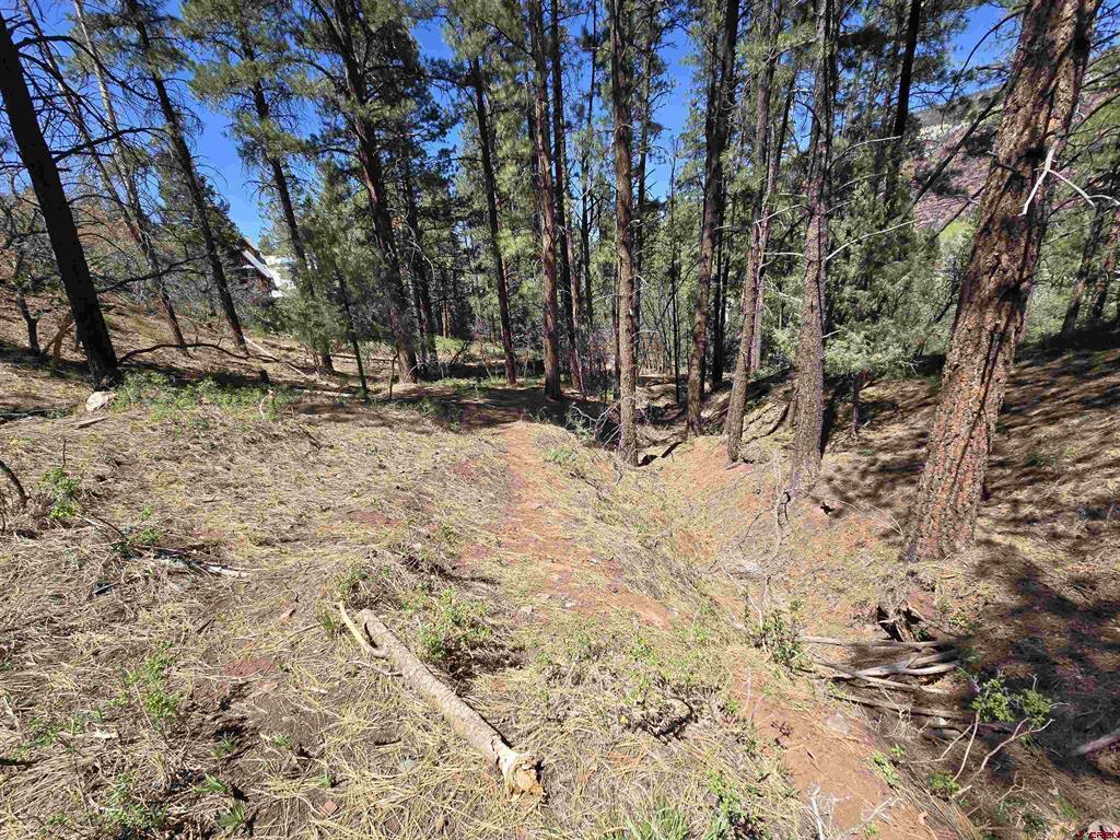 238 Pine Ridge Drive Ridgway CO 81432