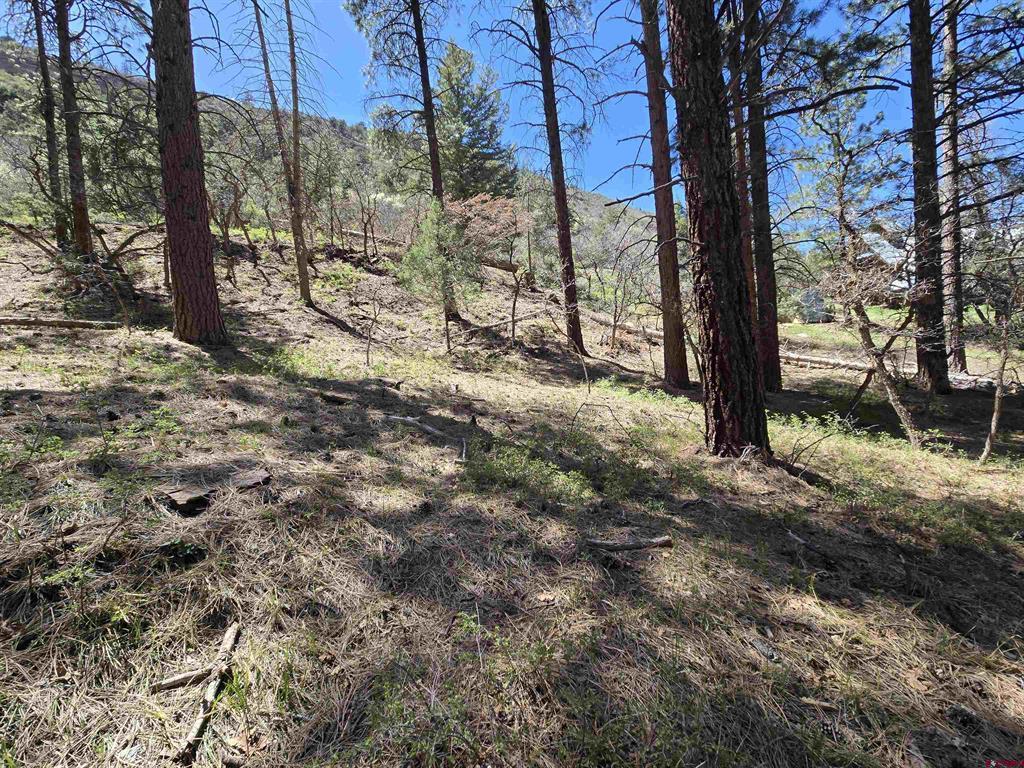 238 Pine Ridge Drive Ridgway CO 81432