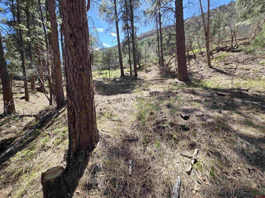 238 Pine Ridge Drive Ridgway CO 81432