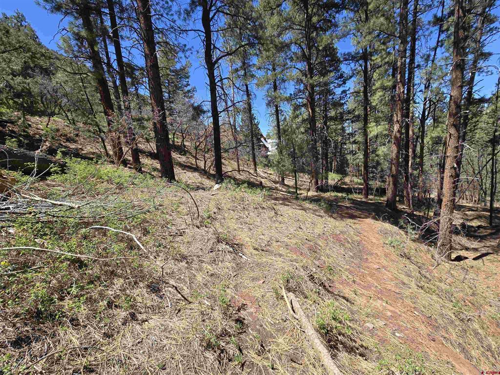 238 Pine Ridge Drive Ridgway CO 81432