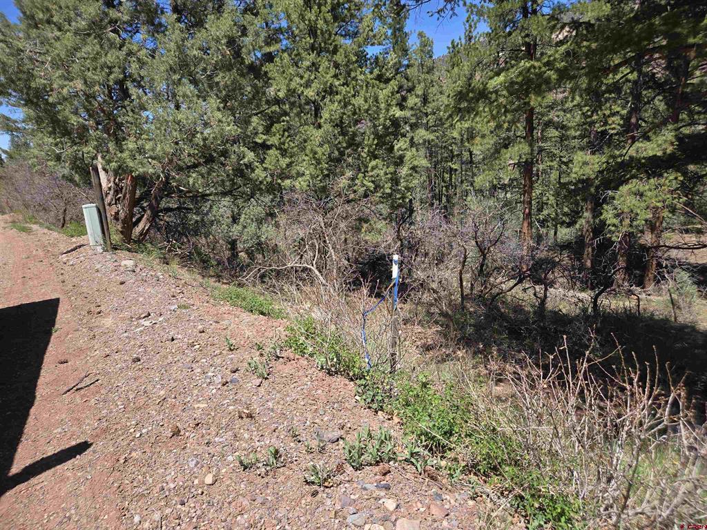 238 Pine Ridge Drive Ridgway CO 81432