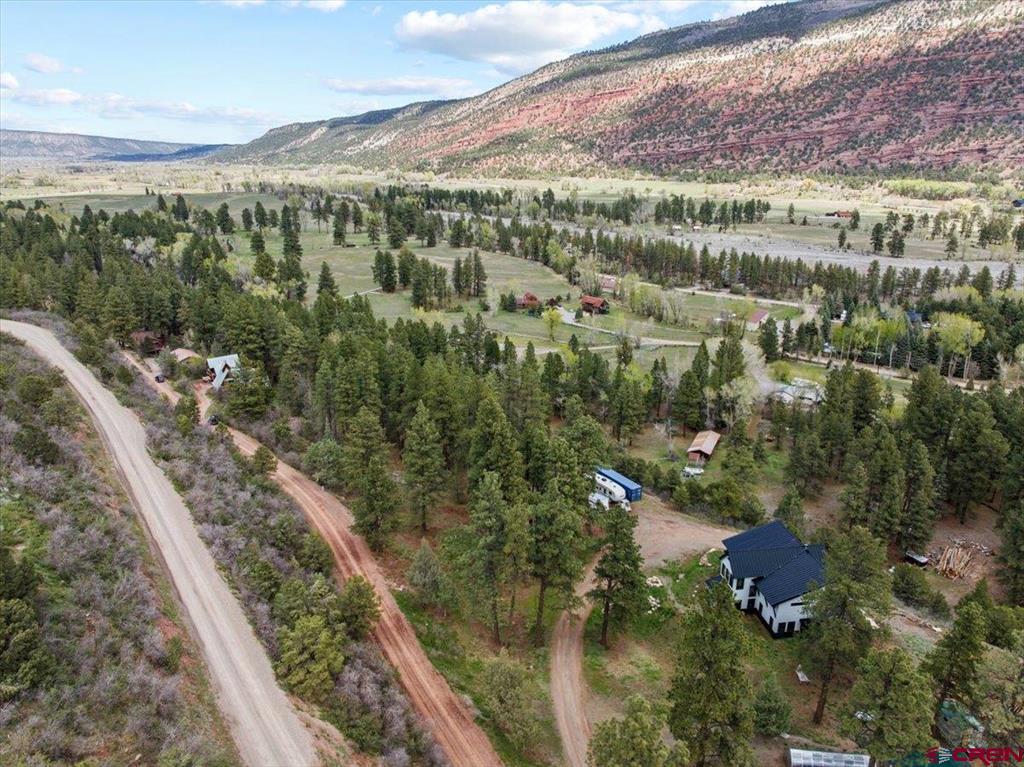 238 Pine Ridge Drive Ridgway CO 81432