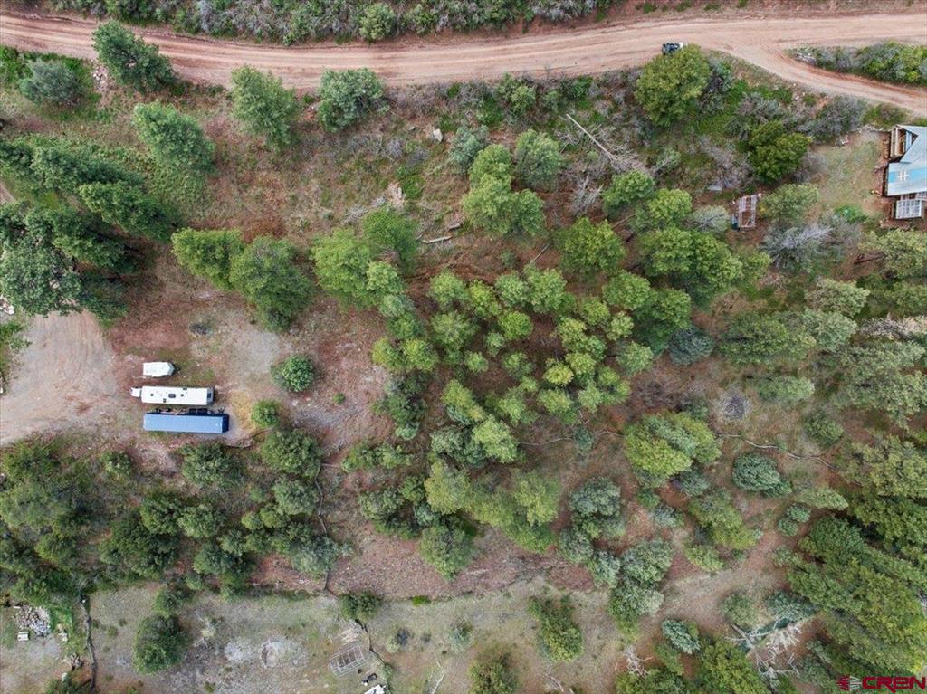 238 Pine Ridge Drive Ridgway CO 81432