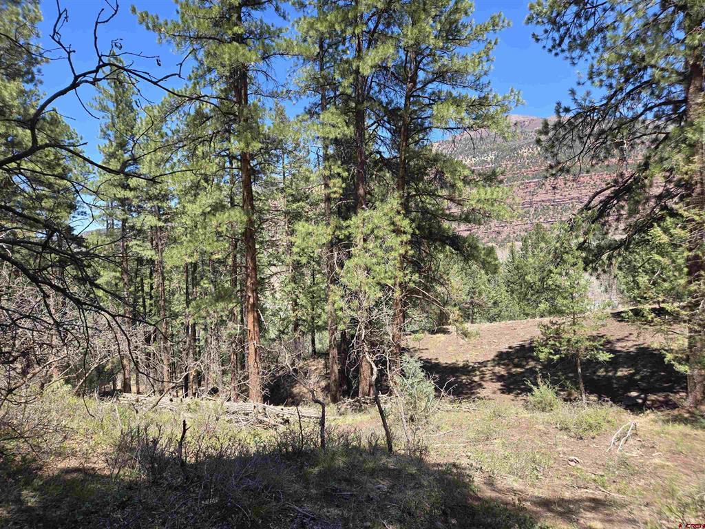 238 Pine Ridge Drive Ridgway CO 81432