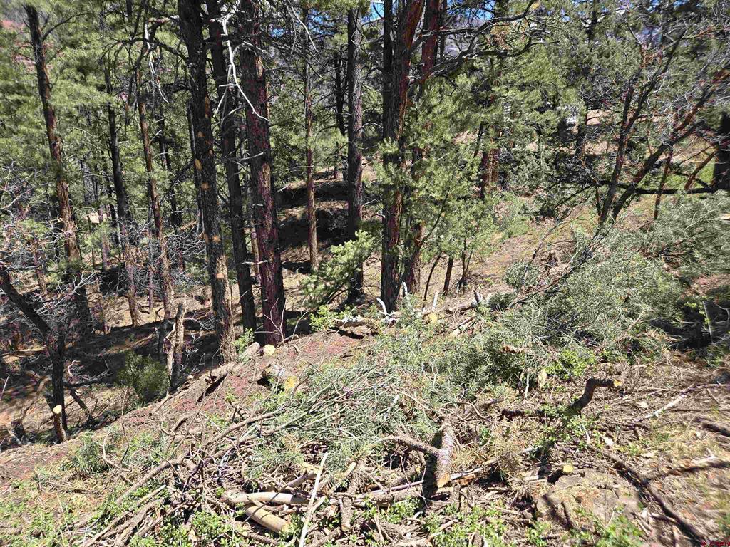 238 Pine Ridge Drive Ridgway CO 81432