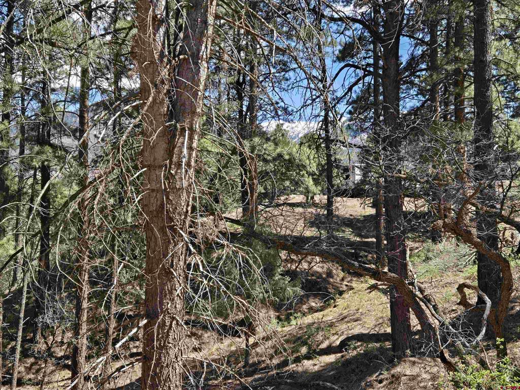 238 Pine Ridge Drive Ridgway CO 81432