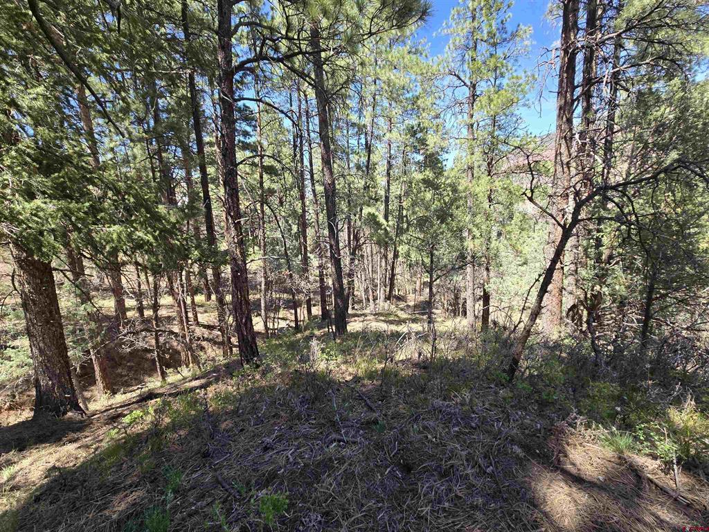 238 Pine Ridge Drive Ridgway CO 81432