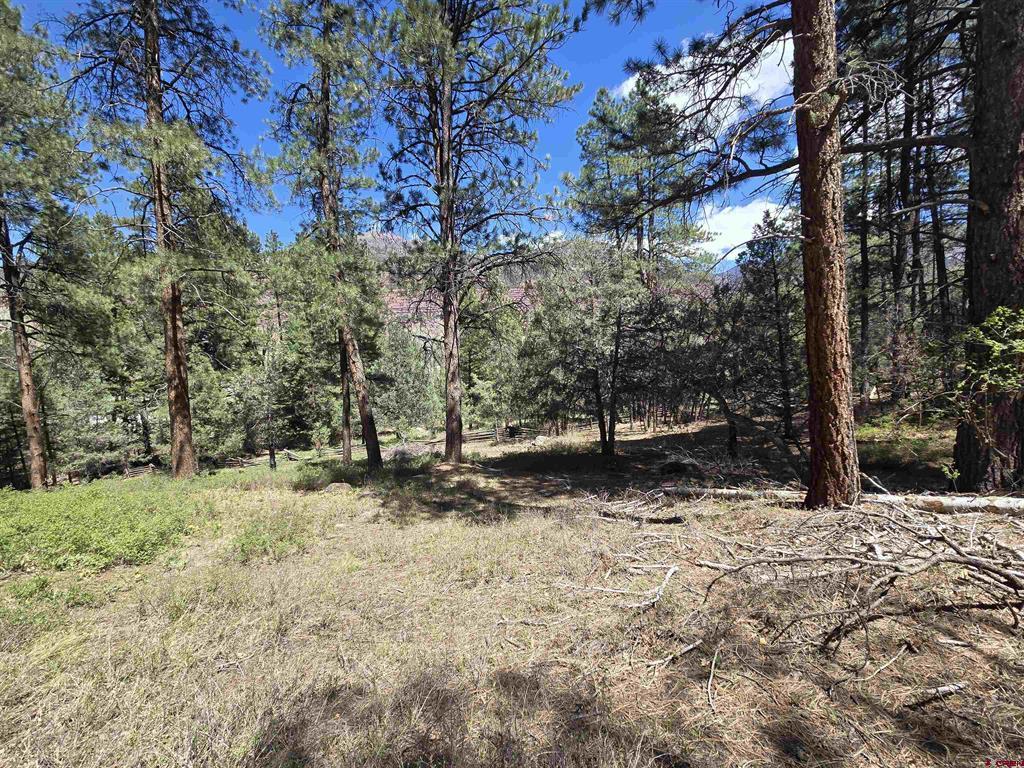 238 Pine Ridge Drive Ridgway CO 81432