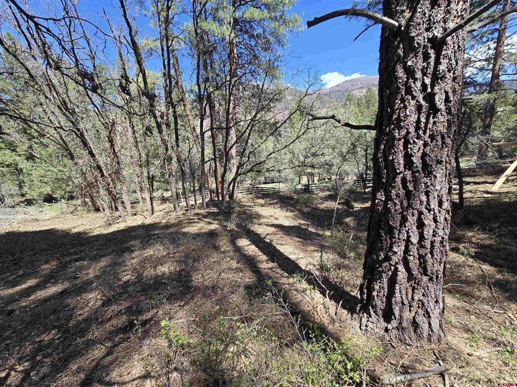 238 Pine Ridge Drive Ridgway CO 81432
