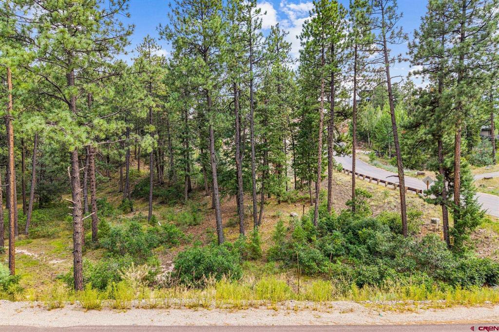 307 Glacier Cliff Drive Durango CO 81301