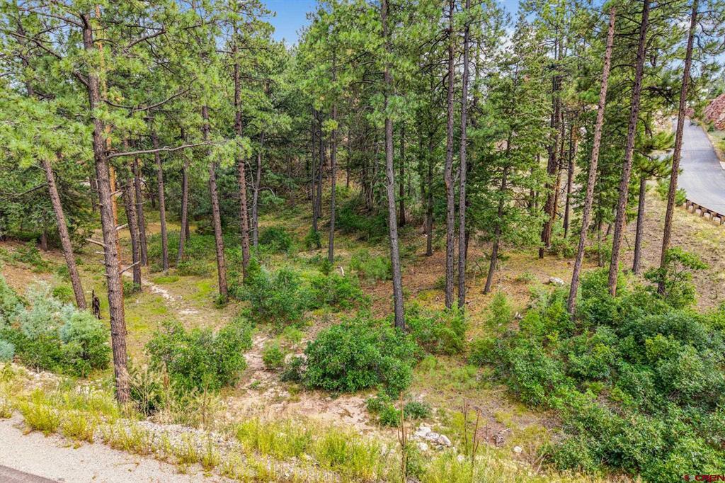 307 Glacier Cliff Drive Durango CO 81301