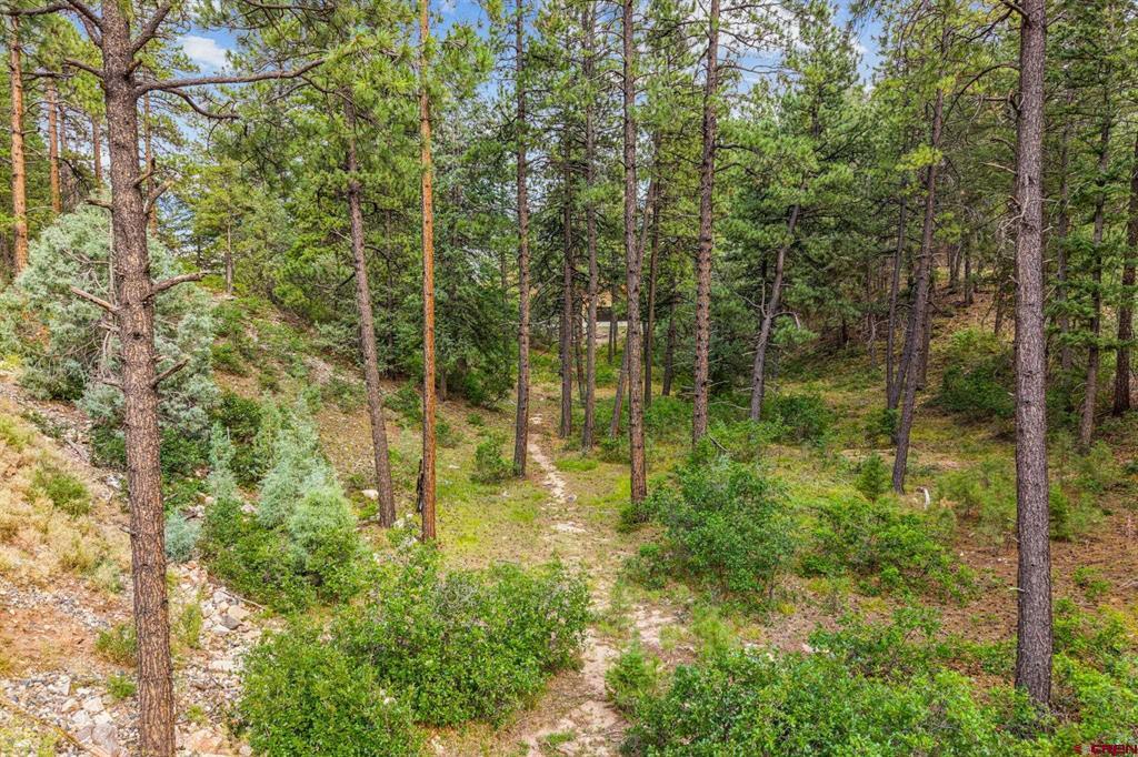 307 Glacier Cliff Drive Durango CO 81301