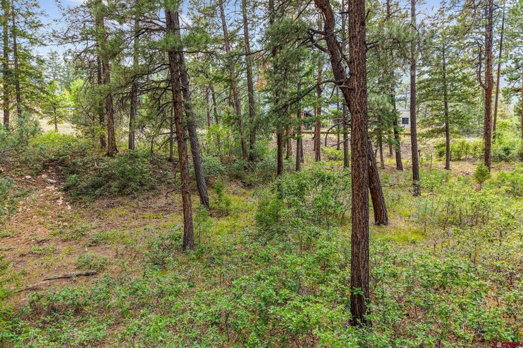 307 Glacier Cliff Drive Durango CO 81301