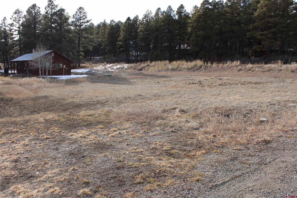 32 Frolic Court Pagosa Springs CO 81147