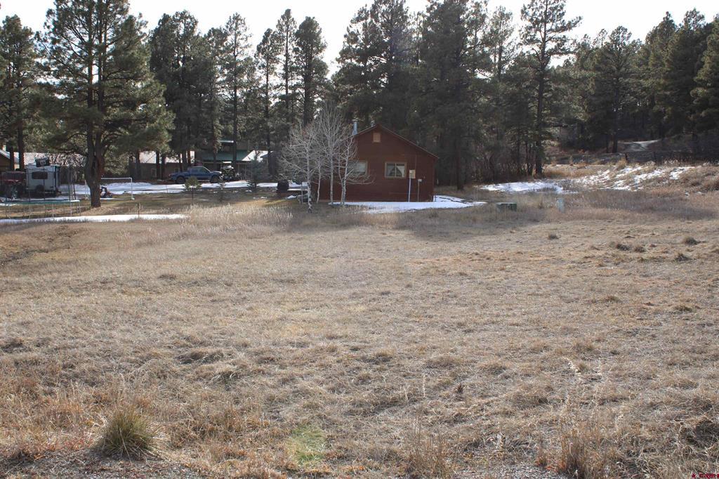 32 Frolic Court Pagosa Springs CO 81147