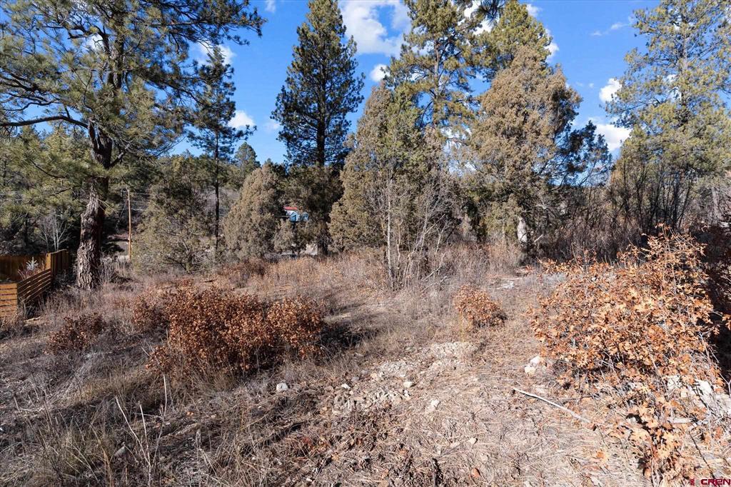 93 Manitou Lane Durango CO 81301