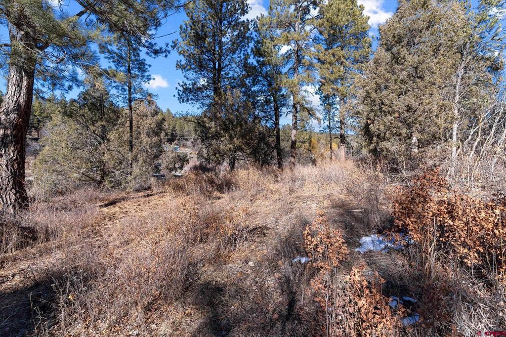 93 Manitou Lane Durango CO 81301