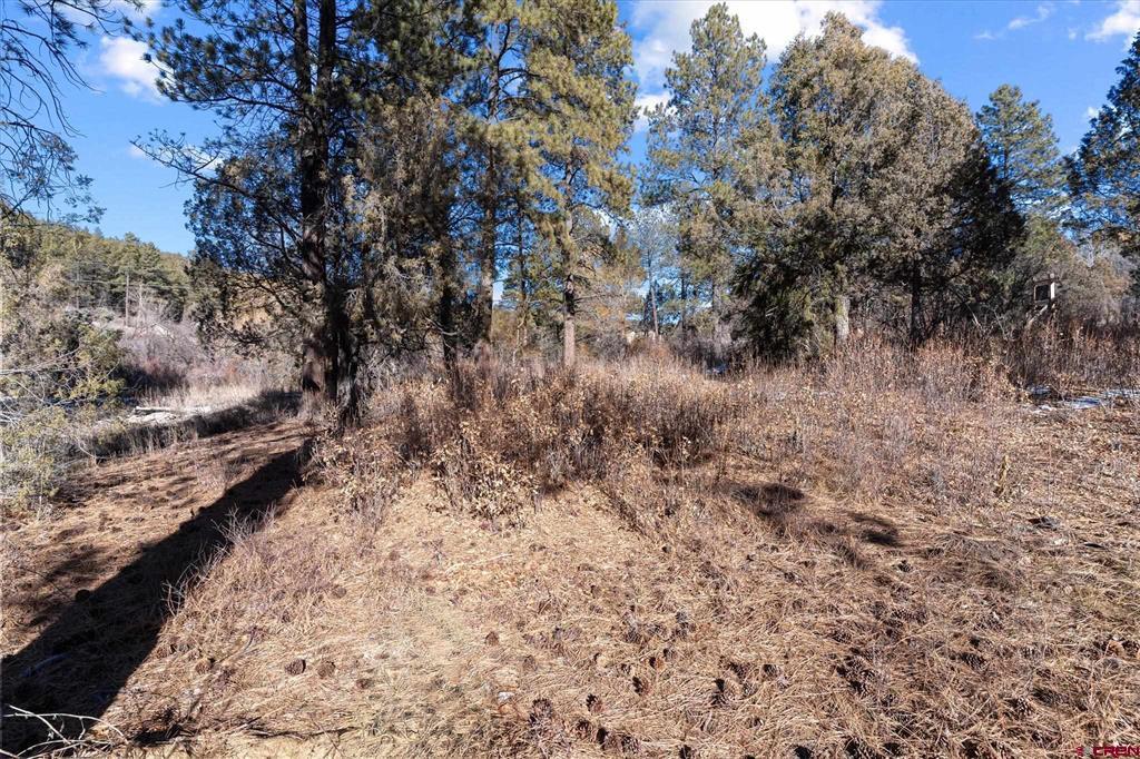 93 Manitou Lane Durango CO 81301