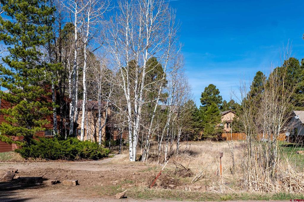 278 Park Avenue Pagosa Springs CO 81147