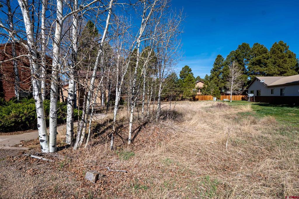 278 Park Avenue Pagosa Springs CO 81147