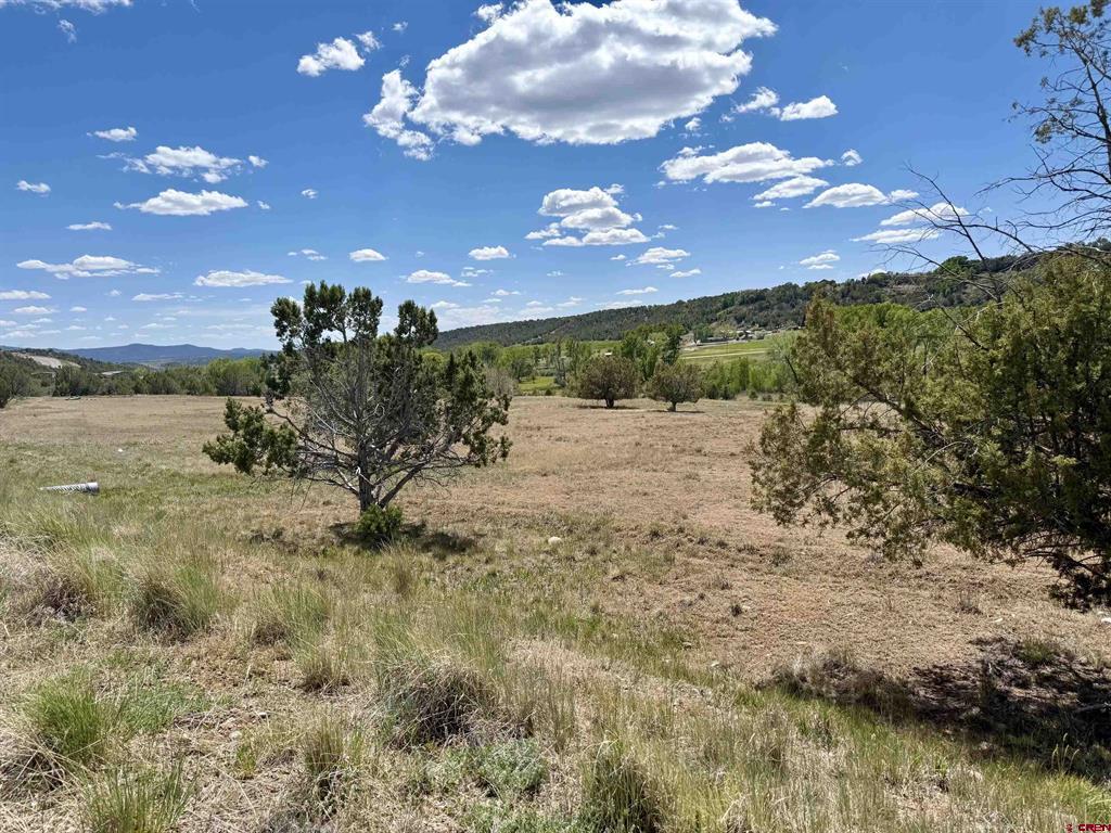 1366 Wrangler Way Durango CO 81303