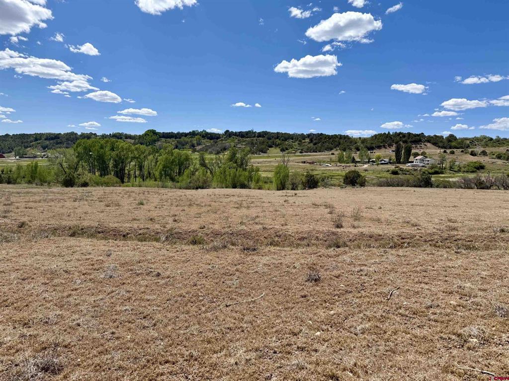 1366 Wrangler Way Durango CO 81303